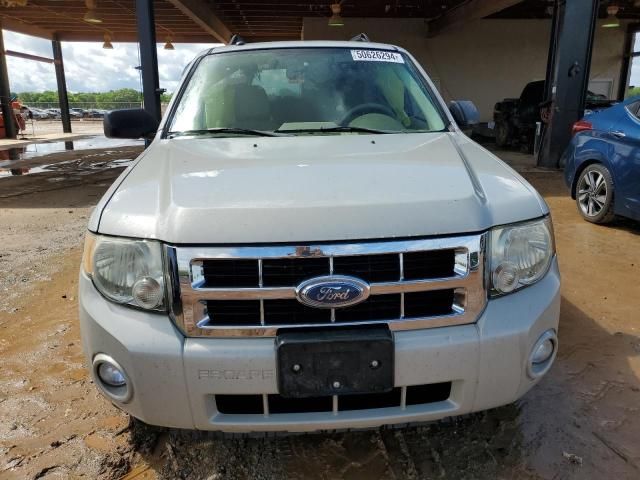 2008 Ford Escape XLT