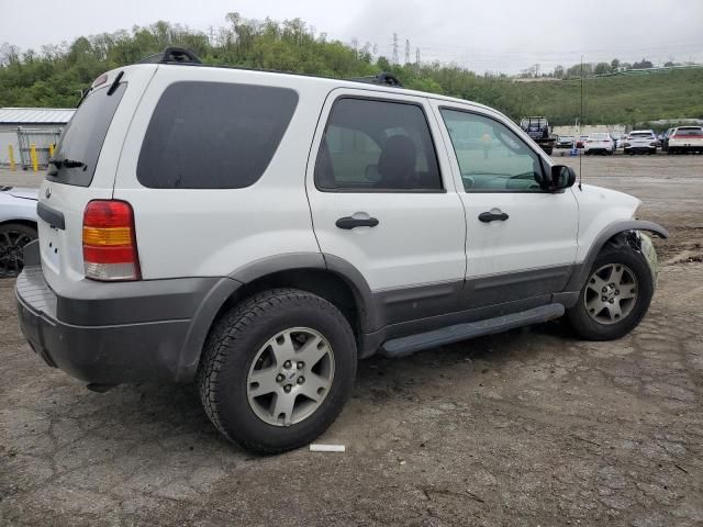 2005 Ford Escape XLT