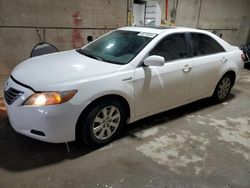 Salvage cars for sale from Copart Blaine, MN: 2007 Toyota Camry Hybrid