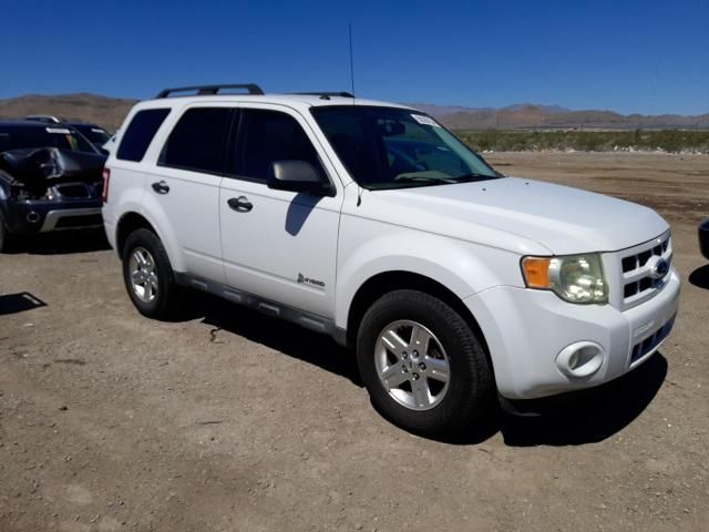 2011 Ford Escape Hybrid