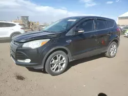 Salvage cars for sale at Brighton, CO auction: 2013 Ford Escape SEL