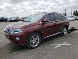 Salvage cars for sale at Rancho Cucamonga, CA auction: 2013 Lexus RX 350