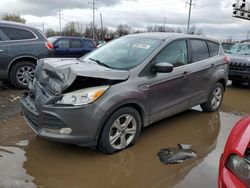 Salvage cars for sale from Copart Columbus, OH: 2014 Ford Escape SE