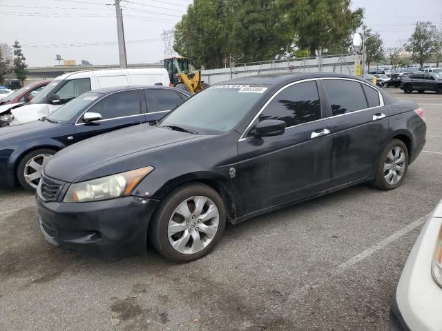 2010 Honda Accord EXL