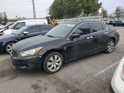 Honda Accord EXL Vehiculos salvage en venta: 2010 Honda Accord EXL