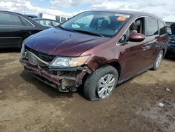 Salvage cars for sale at Brighton, CO auction: 2017 Honda Odyssey EXL