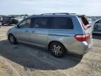 2005 Honda Odyssey EXL