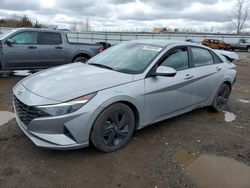 Hyundai salvage cars for sale: 2021 Hyundai Elantra SEL