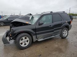 Salvage cars for sale at Indianapolis, IN auction: 2007 Ford Escape XLT