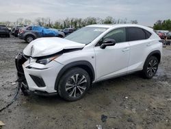 Salvage cars for sale from Copart Baltimore, MD: 2021 Lexus NX 300 Base