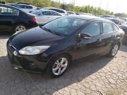 Carros dañados por granizo a la venta en subasta: 2014 Ford Focus SE