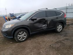 SUV salvage a la venta en subasta: 2013 Honda CR-V EXL