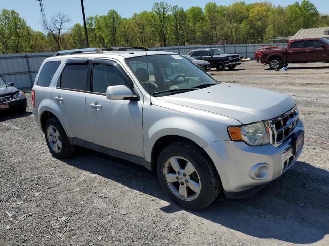 2011 Ford Escape Limited