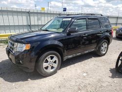 Salvage cars for sale at Lawrenceburg, KY auction: 2012 Ford Escape XLT