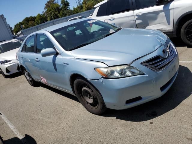 2009 Toyota Camry Hybrid