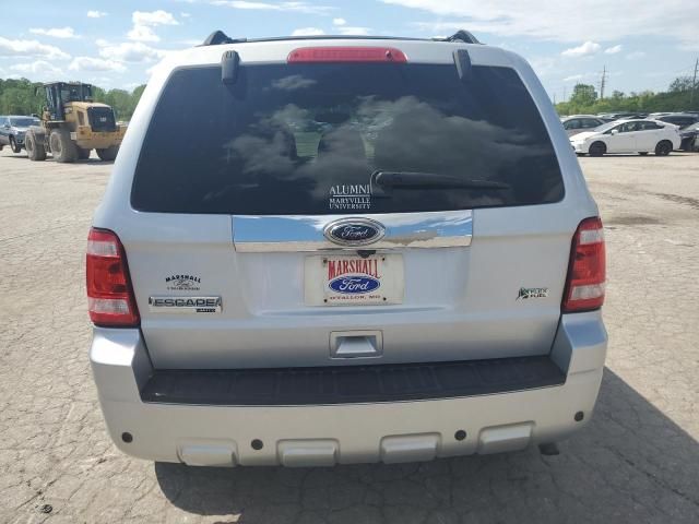 2011 Ford Escape Limited