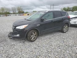 Vehiculos salvage en venta de Copart Barberton, OH: 2016 Ford Escape Titanium