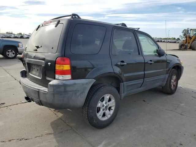 2006 Ford Escape XLT