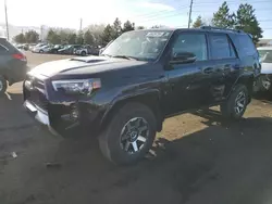 Salvage cars for sale at Denver, CO auction: 2023 Toyota 4runner SE