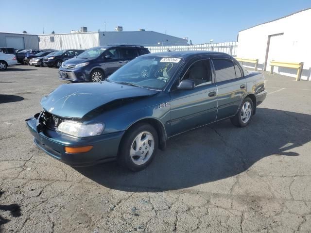 1995 Toyota Corolla LE