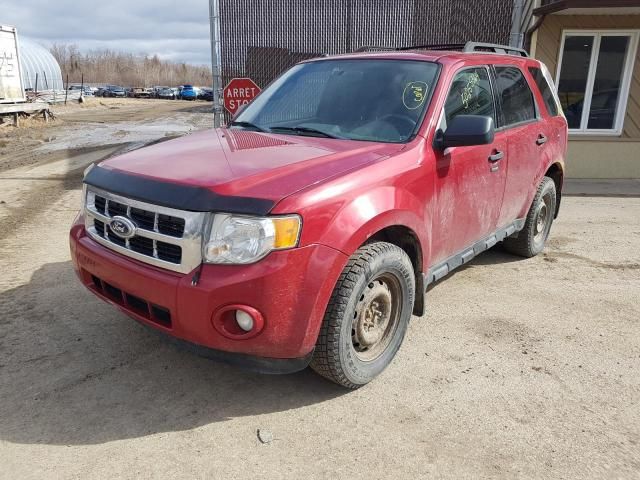 2011 Ford Escape XLT