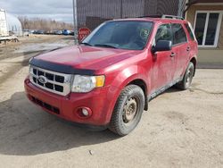 Salvage cars for sale from Copart Montreal Est, QC: 2011 Ford Escape XLT