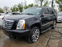 Salvage cars for sale from Copart Bridgeton, MO: 2011 Cadillac Escalade Luxury