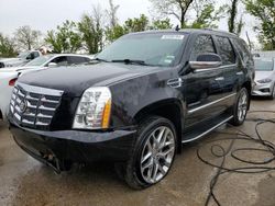 2011 Cadillac Escalade Luxury for sale in Bridgeton, MO