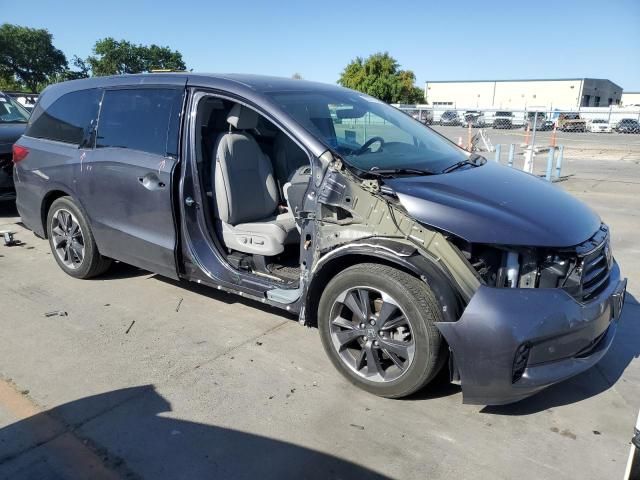 2023 Honda Odyssey Elite