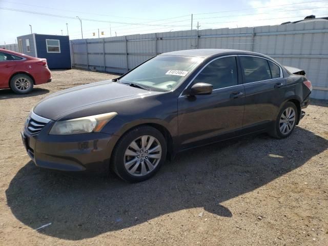 2012 Honda Accord EXL