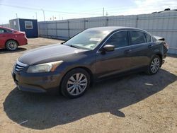 Salvage cars for sale at Greenwood, NE auction: 2012 Honda Accord EXL