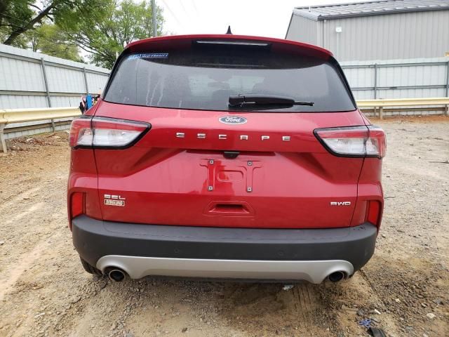 2022 Ford Escape SEL