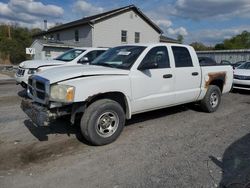 Dodge Dakota Quattro Vehiculos salvage en venta: 2006 Dodge Dakota Quattro