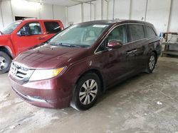 Salvage cars for sale at Madisonville, TN auction: 2014 Honda Odyssey EXL