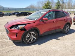 Salvage cars for sale from Copart Davison, MI: 2021 Ford Escape SEL