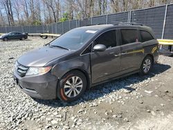 Honda Odyssey exl Vehiculos salvage en venta: 2016 Honda Odyssey EXL