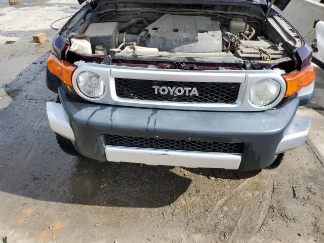 2007 Toyota FJ Cruiser