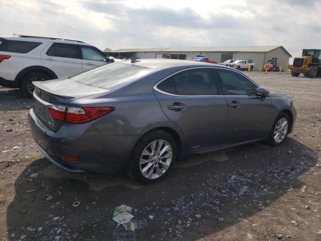 2013 Lexus ES 300H