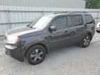 2013 Honda Pilot EXL