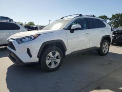 Salvage cars for sale from Copart Sacramento, CA: 2020 Toyota Rav4 XLE