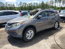 Salvage cars for sale from Copart Harleyville, SC: 2014 Honda CR-V EXL