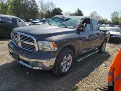 Dodge salvage cars for sale: 2019 Dodge RAM 1500 Classic SLT