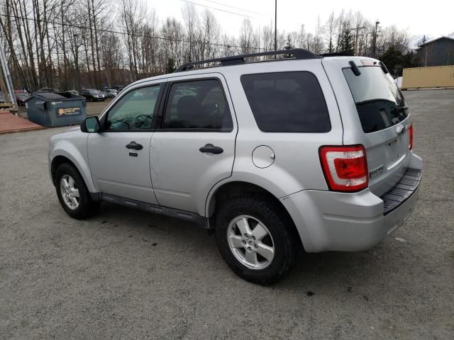 2009 Ford Escape XLT