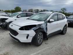 Salvage cars for sale from Copart Des Moines, IA: 2020 Ford Escape SEL