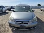 2005 Honda Odyssey EXL