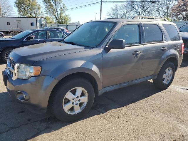 2010 Ford Escape XLT