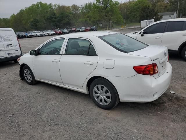 2010 Toyota Corolla Base