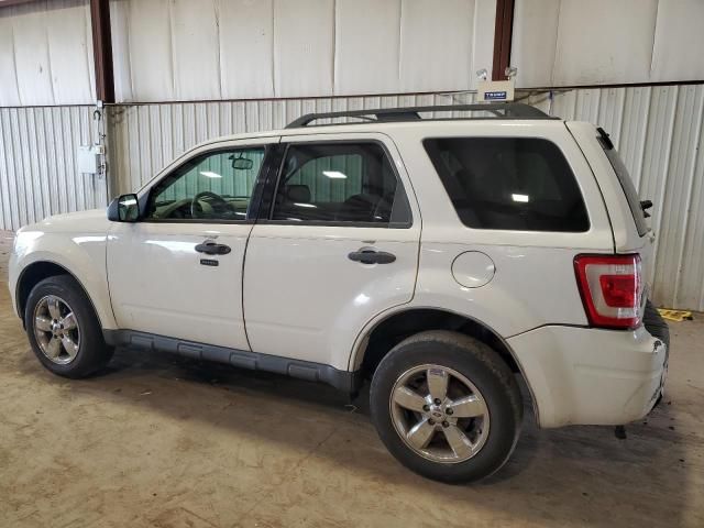 2011 Ford Escape XLT