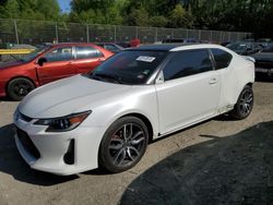 Salvage cars for sale at Waldorf, MD auction: 2015 Scion TC