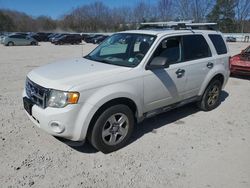 Ford Escape xlt salvage cars for sale: 2010 Ford Escape XLT